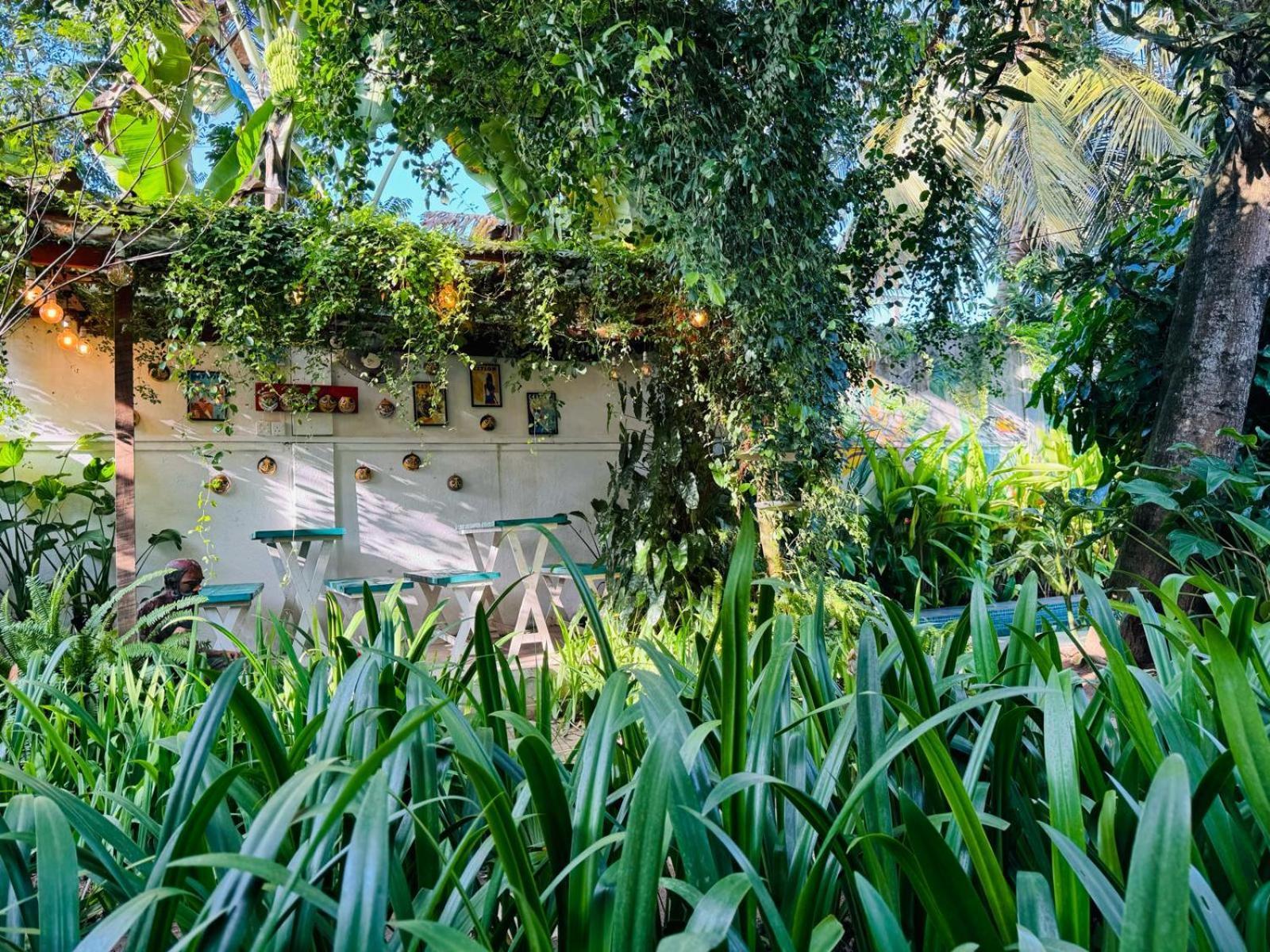 Double Mango Villa Katunayake Exterior photo